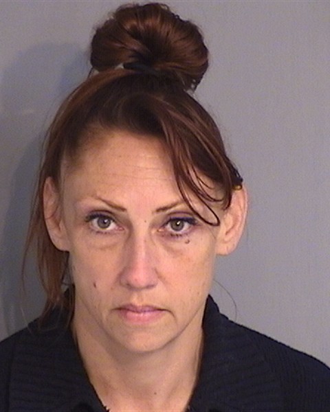 Booking photo - DANIELLE EVANS - Osceola, Florida