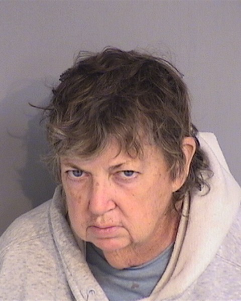 Booking photo - THERESA CLEARY - Osceola, Florida
