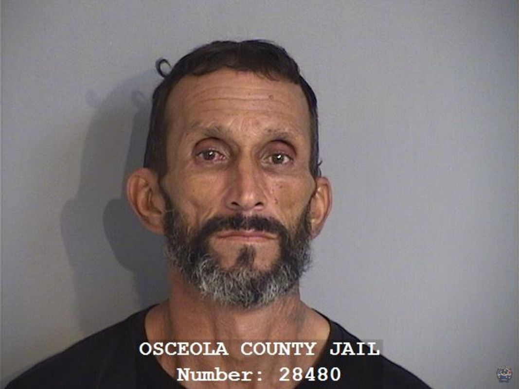 Booking photo - CARLOS ALBERTO RAMOS - Osceola, Florida