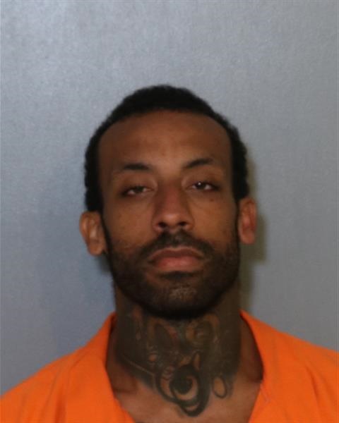 Booking photo - BRANDON HAYNES - Osceola, Florida