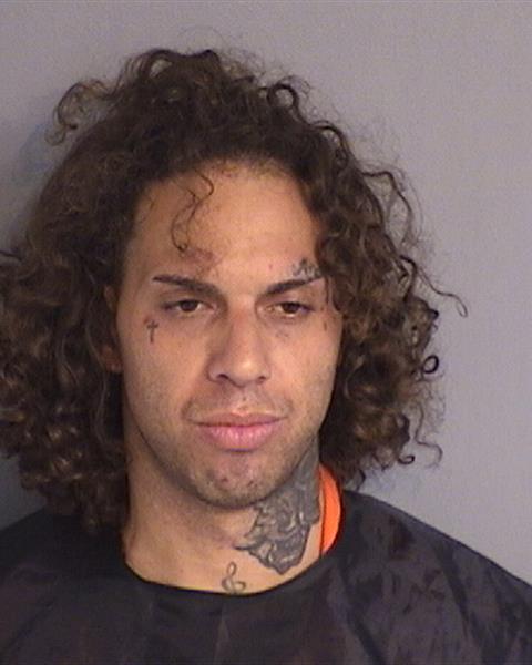 Booking photo - THOMAS JONIEL SANCHEZ - Osceola, Florida