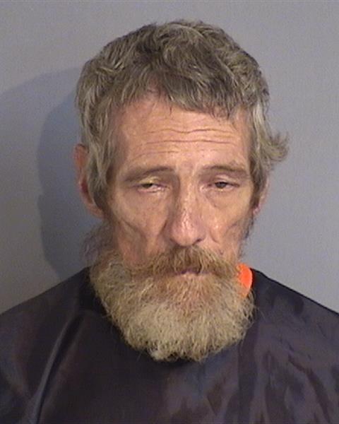 Booking photo - DANIEL WILLIAM SHEPHERD - Osceola, Florida