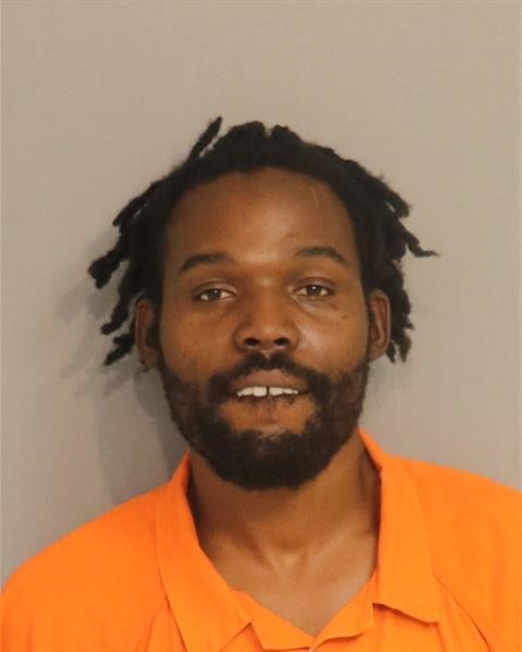 Booking photo - DONTAVIOS DMICK WILCOX - Osceola, Florida