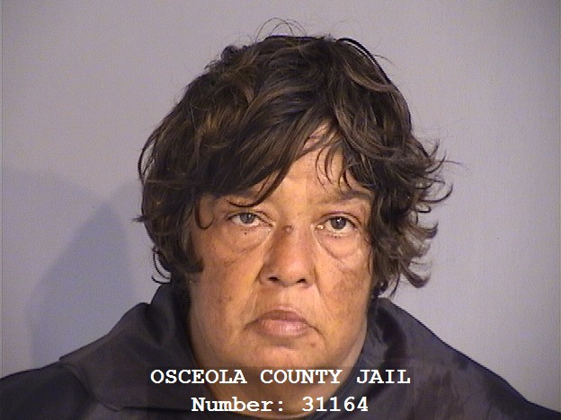 Booking photo - MARICELA SALINAS - Osceola, Florida