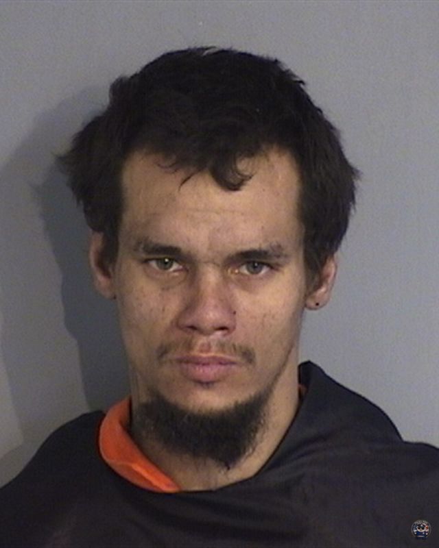 Booking photo of THOMAS RONALD-DUBOIS BAINBRIDGE