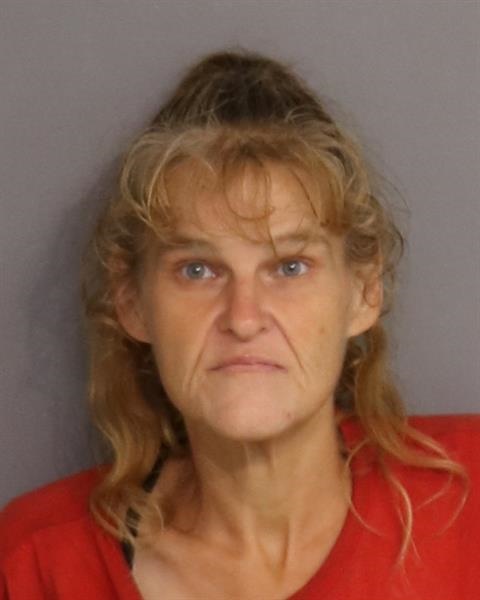 Booking photo - ROSEANNA LEAH ROBERTS - Osceola, Florida