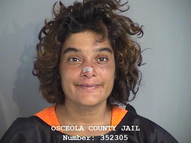 Booking photo - JEANETTE ASHLEY SARDUY - Osceola, Florida