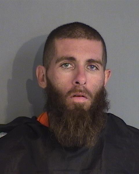 Booking photo - WILLIAM LESTER ROMANOVSKY - Osceola, Florida