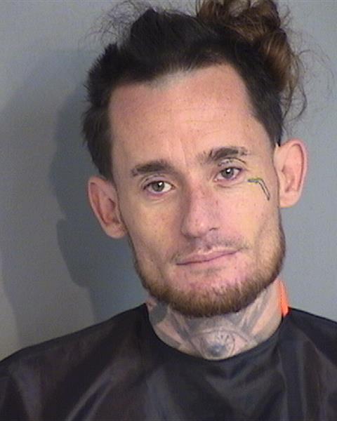 Booking photo - MARK CRAIG PEARMAN - Osceola, Florida