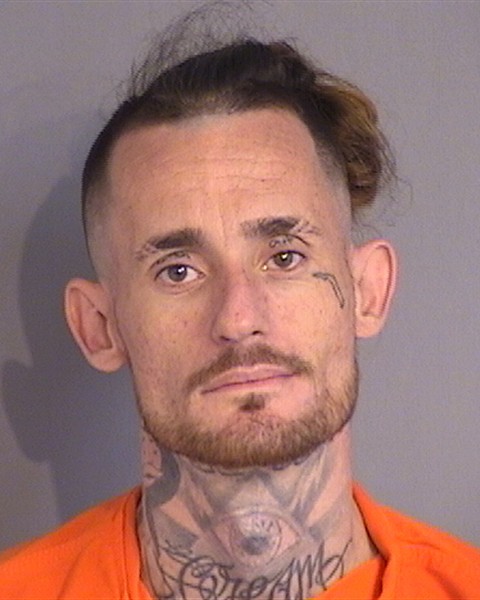 Booking photo - MARK PEARMAN - Osceola, Florida