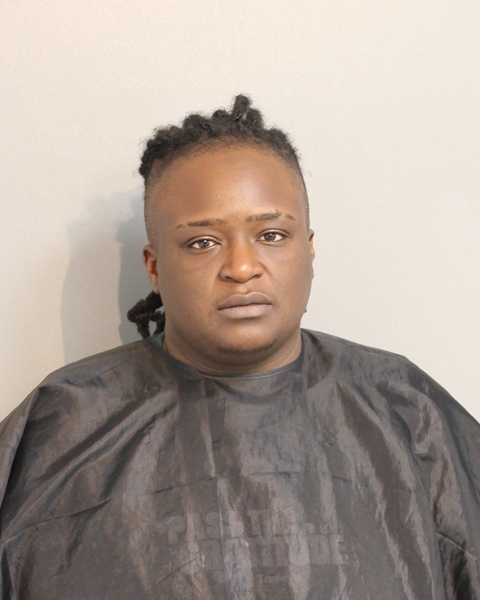 Booking photo - JAZMIN WILKERSON - Osceola, Florida