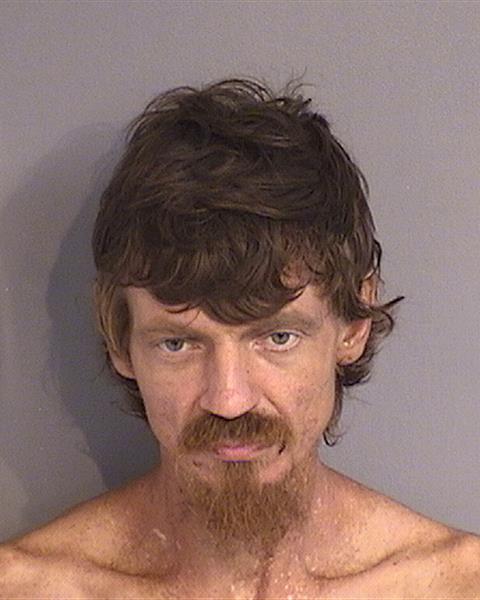 Booking photo - CHRISTOPHER ALLEN MEDIATE - Osceola, Florida