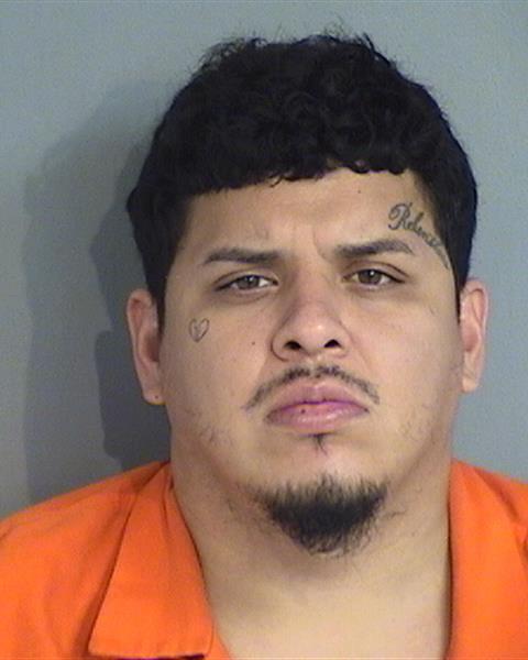 Booking photo - GERSON ANDRES CASTELLON - Osceola, Florida
