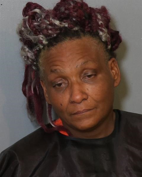 Booking photo - DORETHA LAVUN JOHNSON - Osceola, Florida