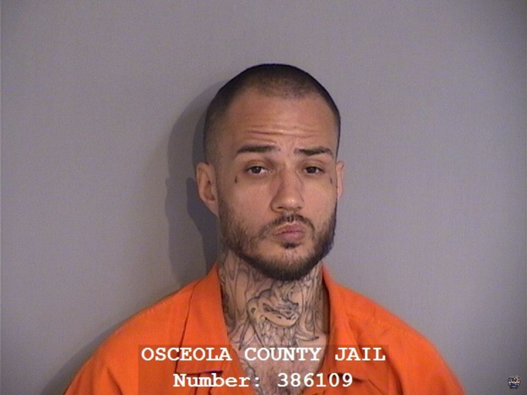 Booking photo - LUIS ALBERTO SAEZ - Osceola, Florida