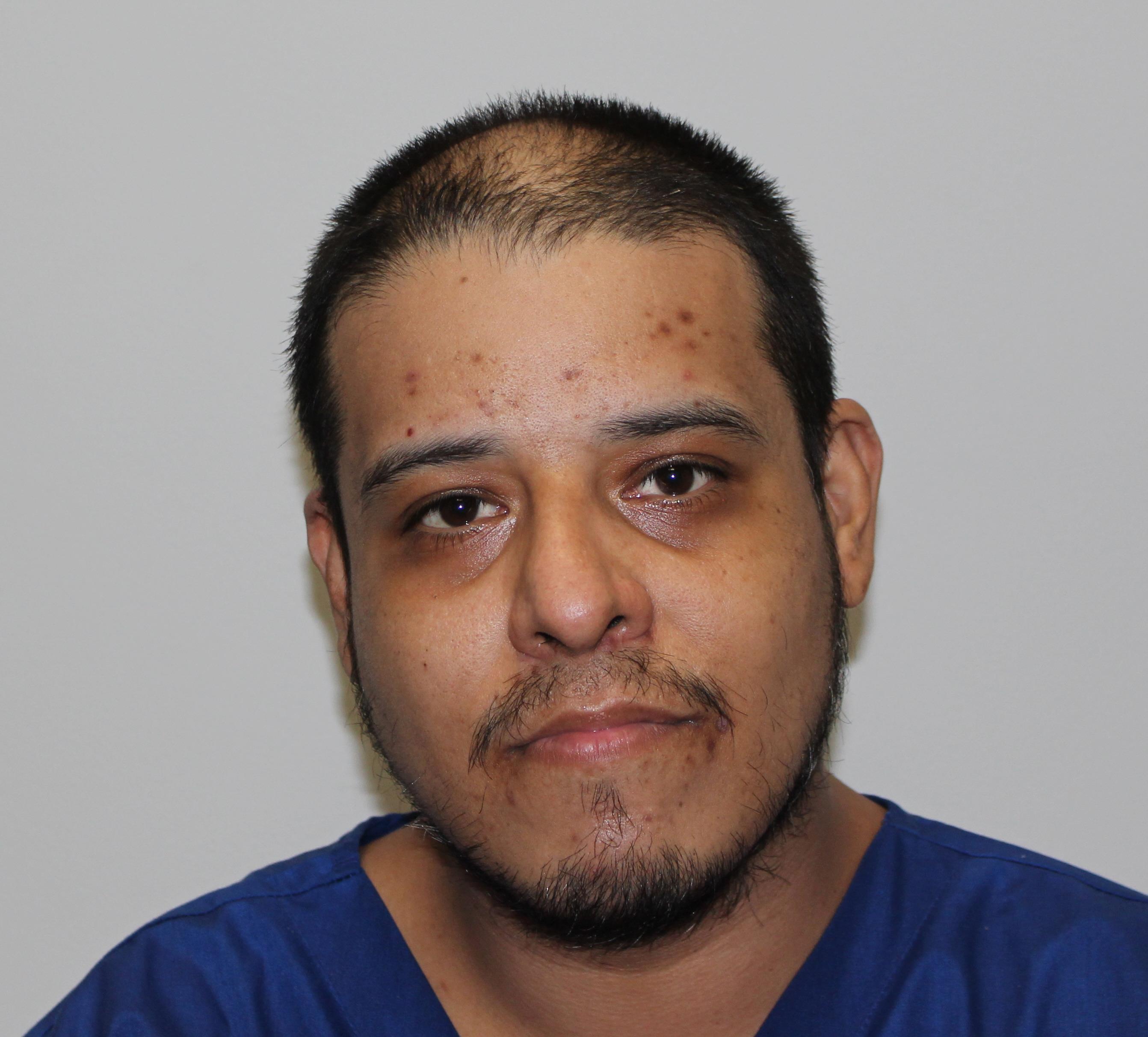 Booking photo - BRAULIO FERNANDO ARCE - Osceola, Florida