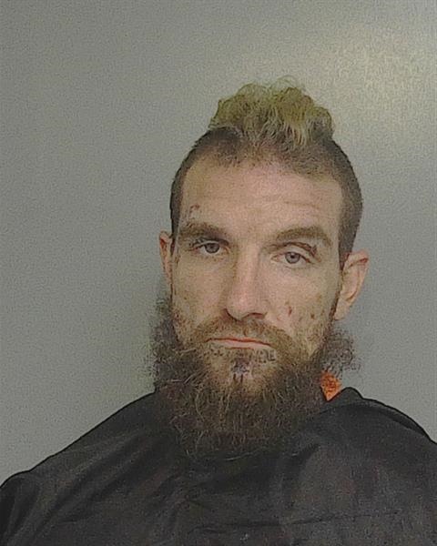 Booking photo - LOGAN MICHAEL STROSNIDER - Osceola, Florida