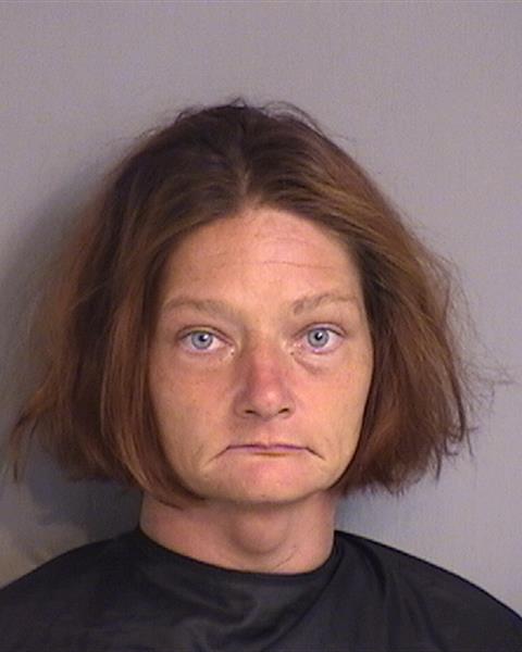 Booking photo - CATHARINE CHRISTINE BRITTON - Osceola, Florida