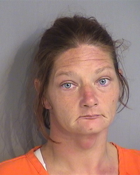 Booking photo - CATHARINE BRITTON - Osceola, Florida