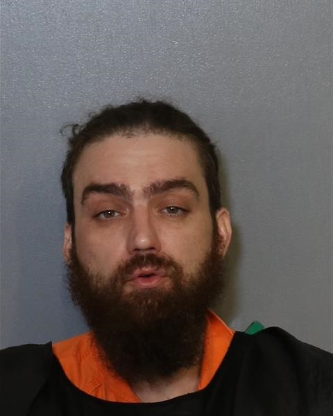 Booking photo - DALTON SEARS - Osceola, Florida