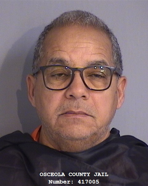 Booking photo - AMANDA SNYDER - Osceola, Florida