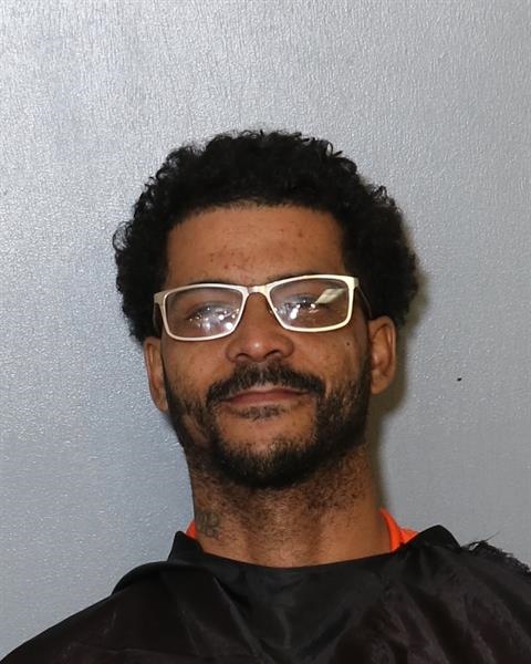 Booking photo - JAQUAN MARQUIS LOWERY - Osceola, Florida