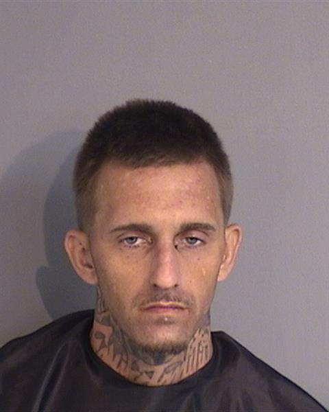 Booking photo - ANTHONY JAMES SPINALE - Osceola, Florida