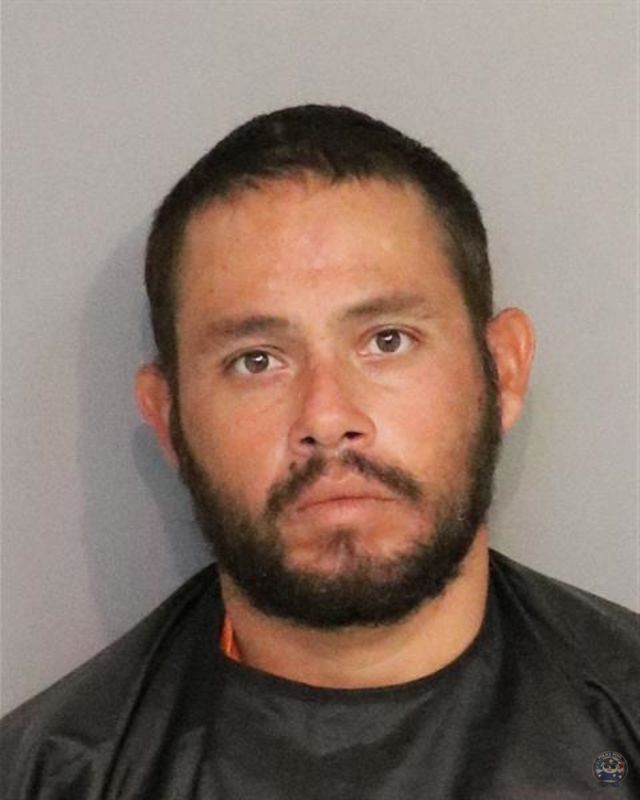 Booking photo - FRANCISCO JESUS MORALES - Osceola, Florida