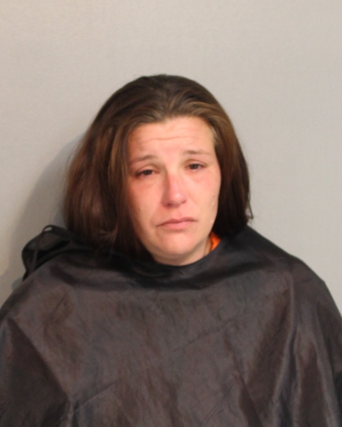 Booking photo - HEATHER MARTIN - Osceola, Florida