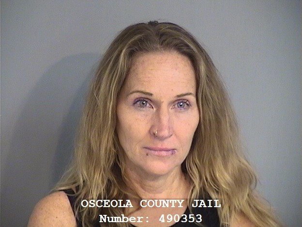Booking photo - KAREN LEININGER - Osceola, Florida