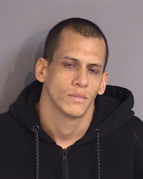 Booking photo - FABIAN ANDRES SAEZ - Osceola, Florida