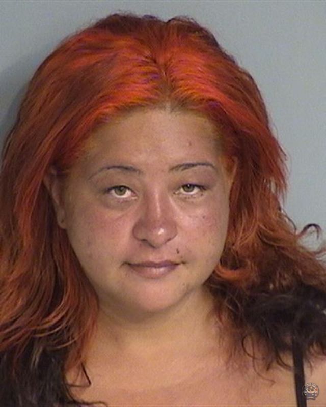 Booking photo - VERONICA MARIE FERNANDEZ - Osceola, Florida