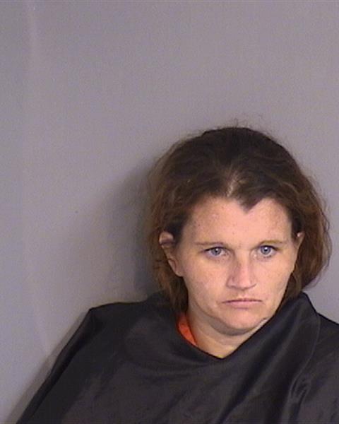 Booking photo - JACQUELENE DANIELLE YOUNG - Osceola, Florida