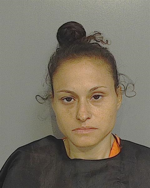 Booking photo - BLANCA HANSEN - Osceola, Florida