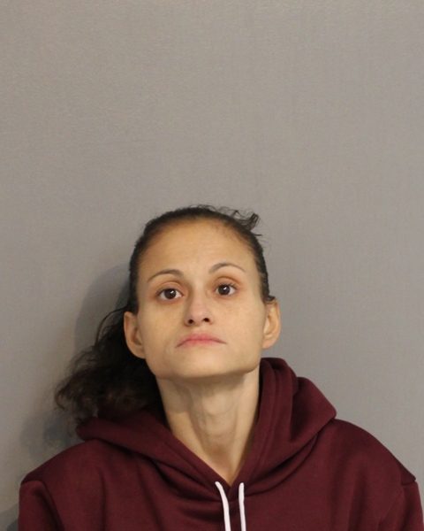 Booking photo - BLANCA HANSEN - Osceola, Florida