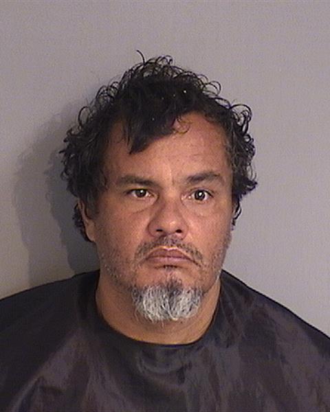 Booking photo - JAVIER DIAZ - Osceola, Florida