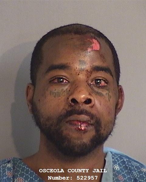 Booking photo - DAVORRIS MARCELLUS TIMAU - Osceola, Florida