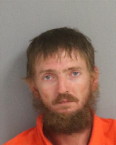 Booking photo - PHILLIP JORDAN ROBINSON - Osceola, Florida