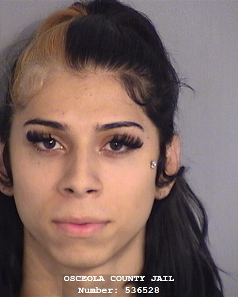 Booking photo - JUAN SANTIAGO - Osceola, Florida