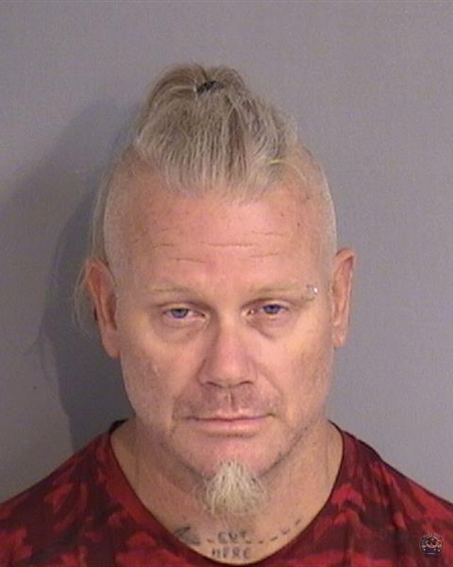 Booking photo - ROBART LEE YATES - Osceola, Florida