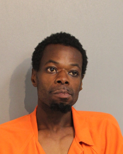 Booking photo - LAWRENISCA-MARI BELSER - Osceola, Florida