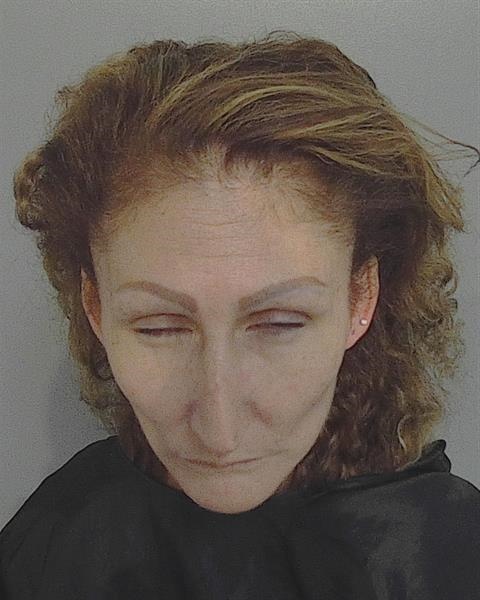 Booking photo - YADIRA PEREZ-ARVELO - Osceola, Florida