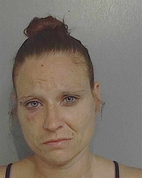 Booking photo - ASHLEY ANN EMOND - Osceola, Florida