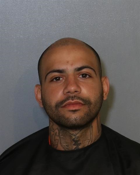 Booking photo - MICHAEL CABREJA - Osceola, Florida