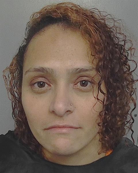 Booking photo - BLANCA LUZ PALACIO - Osceola, Florida