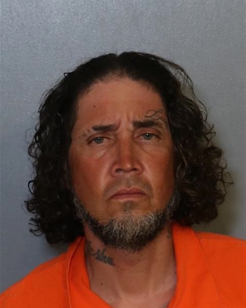 Booking photo - ARNALDO GREGORY-SANTANA - Osceola, Florida