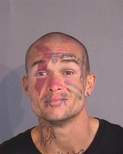 Booking photo - WILLIAM JAMES LANNEAUX - Osceola, Florida