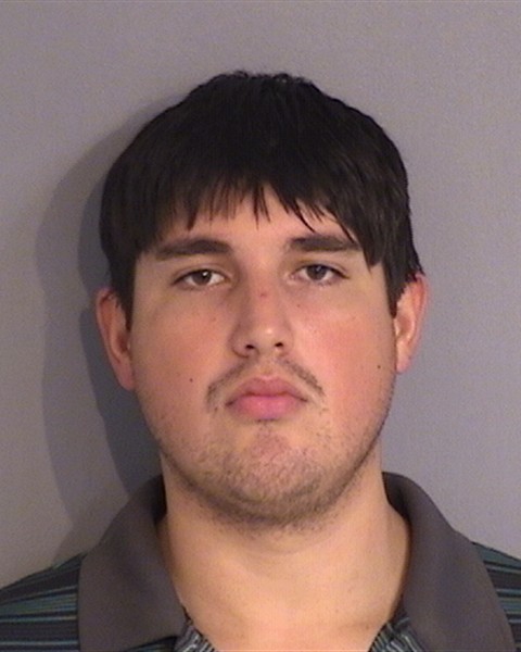 Booking photo - ANDREE DUMITRESCU - Osceola, Florida