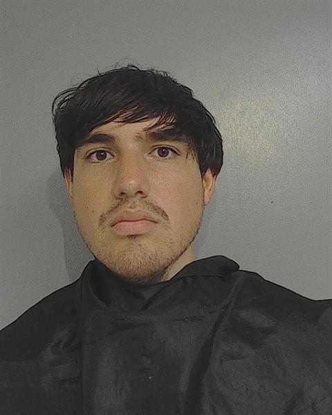 Booking photo - ANDREE DANIEL DUMITRESCU - Osceola, Florida