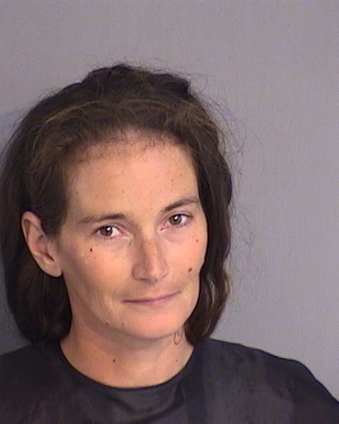 Booking photo - VANESSA THACKER - Osceola, Florida
